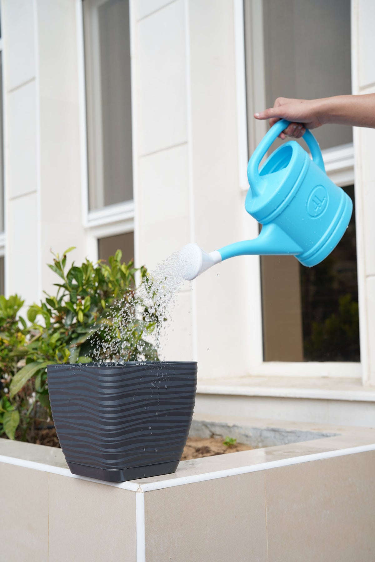 Outdoor Living & Garden